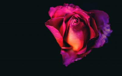 La notion de coeur dans l’Islam